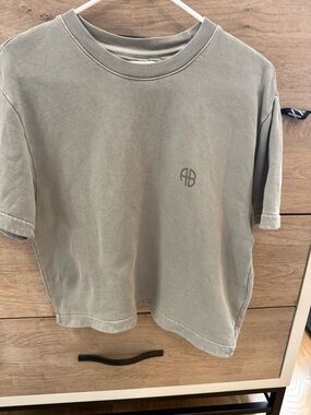 Anine Bing Sage Green Crewneck Tee XS Like New 100 % Organic Cotton